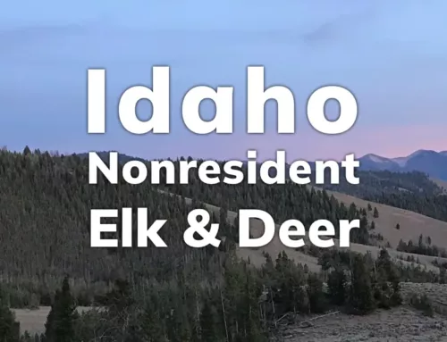 Idaho Nonresident Elk and Deer Tag Sale 2024