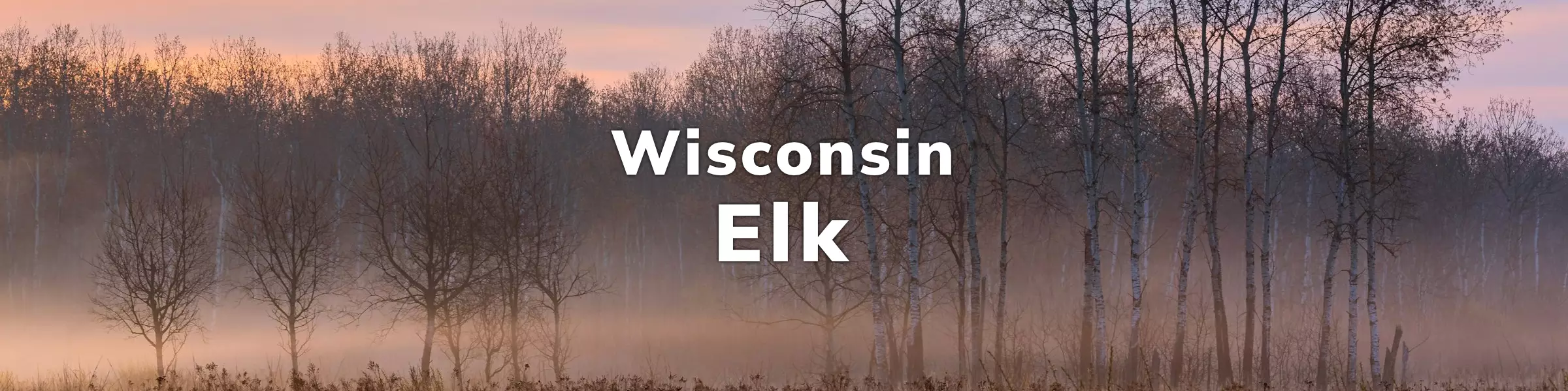 Wisconsin elk hunting