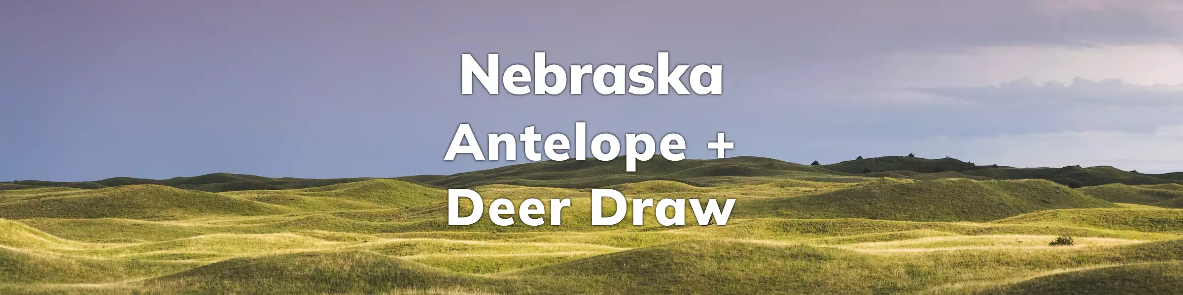 Nebraska Deer Antelope