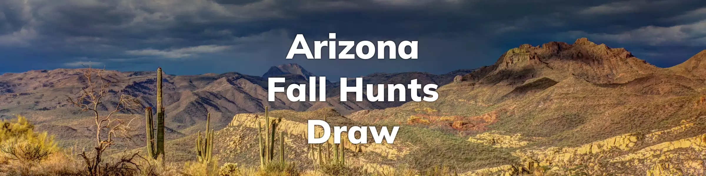 Arizona Fall Hunts Draw