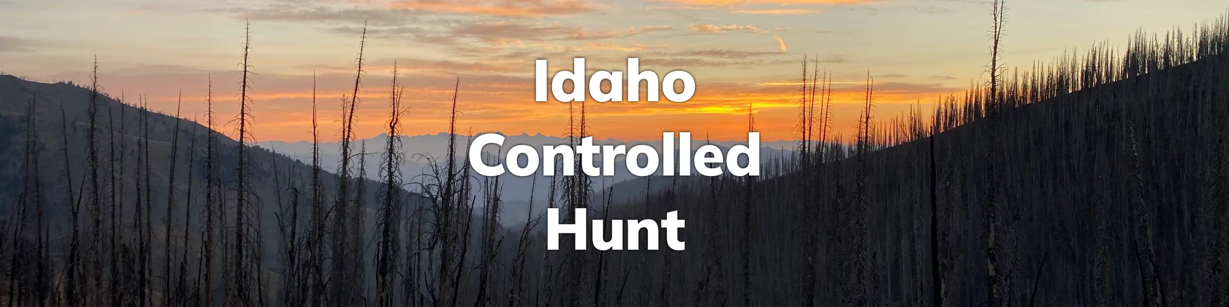 Idaho Controlled Hunt Application