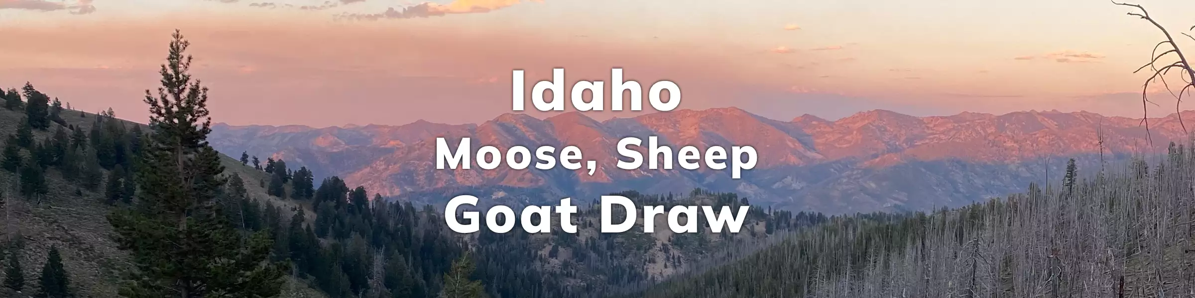 Idaho Moose Sheep Goat Draw