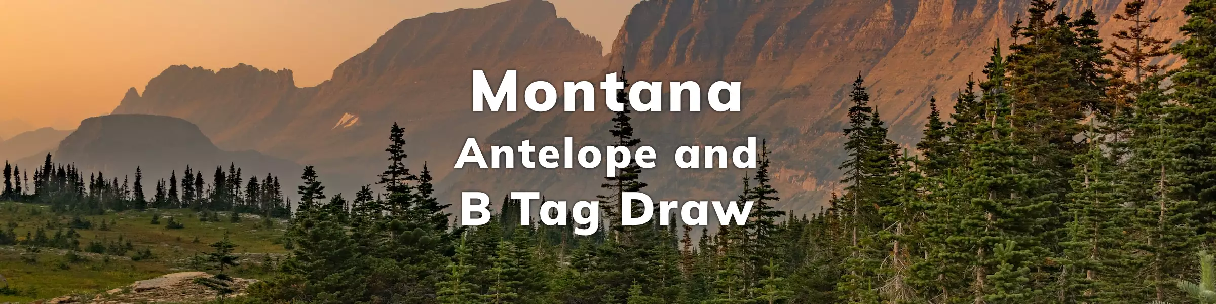 Montana B Tag Draw