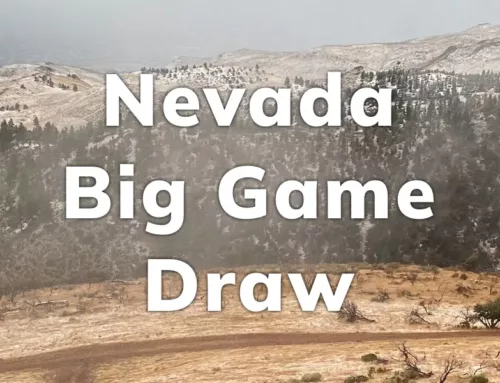 Nevada Big Game Draw 2024