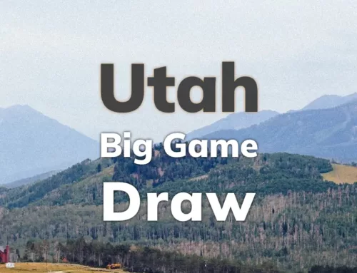 Utah Big Game Draw 2024