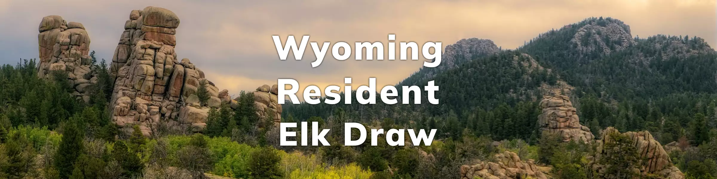 Wyoming Resident Elk Draw