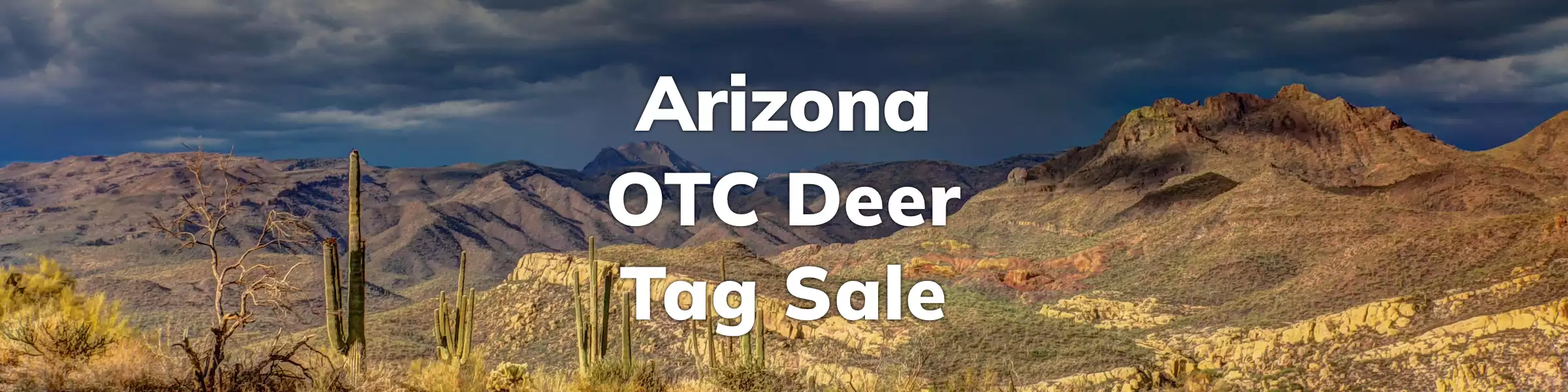 Arizona OTC Deer Tags