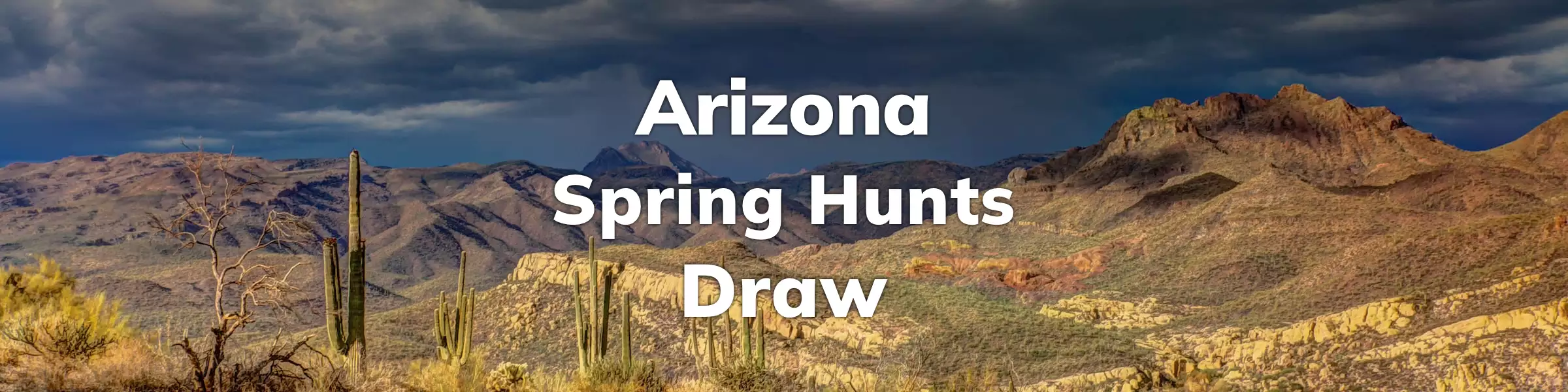 Arizona Spring Hunts Draw