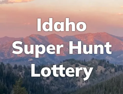 The Idaho Super Hunt Lottery: A Chance at World-Class Hunting