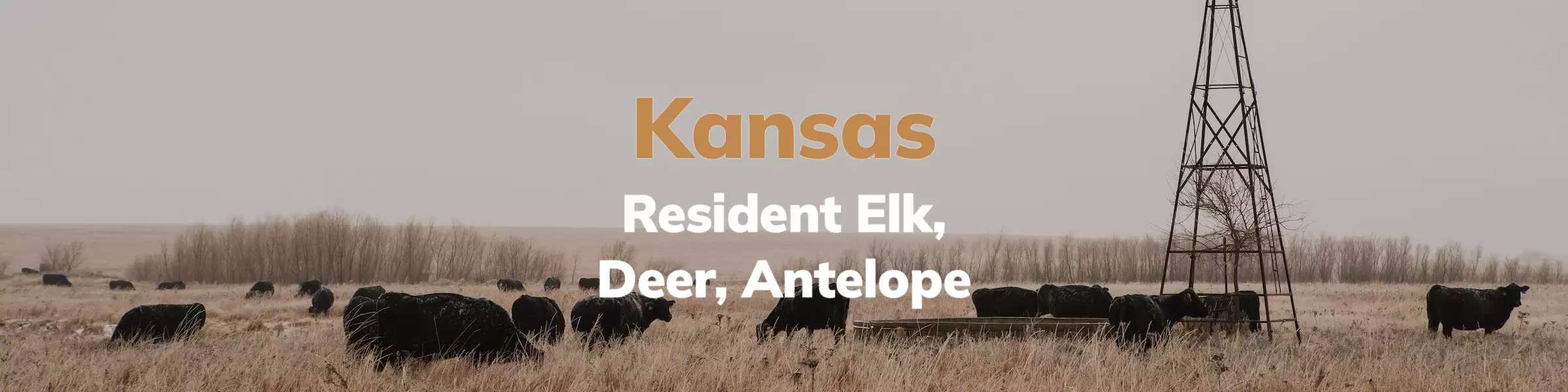 Kansas Resident Elk Deer Antelope Draw