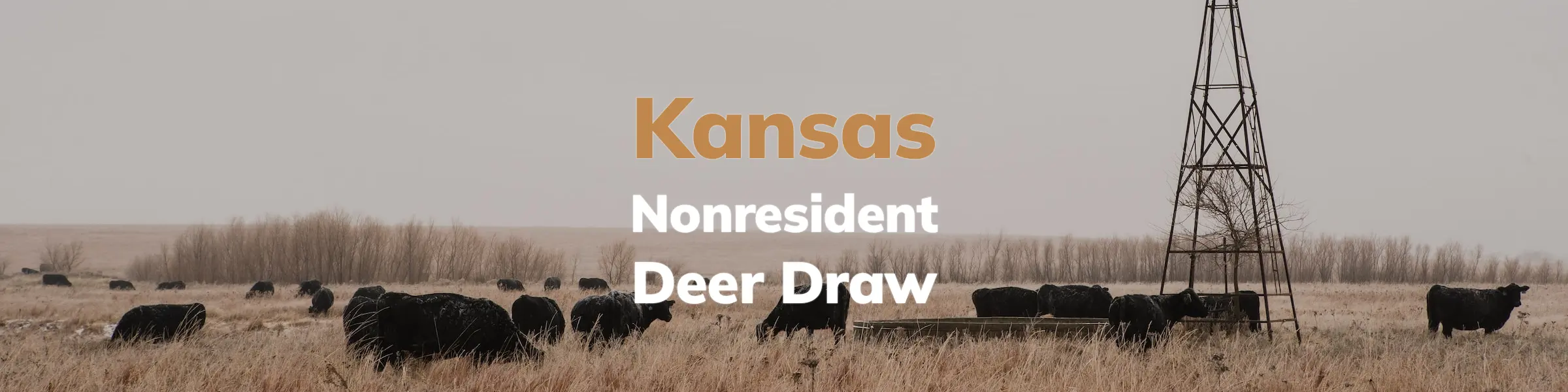 Kansas Deer Draw