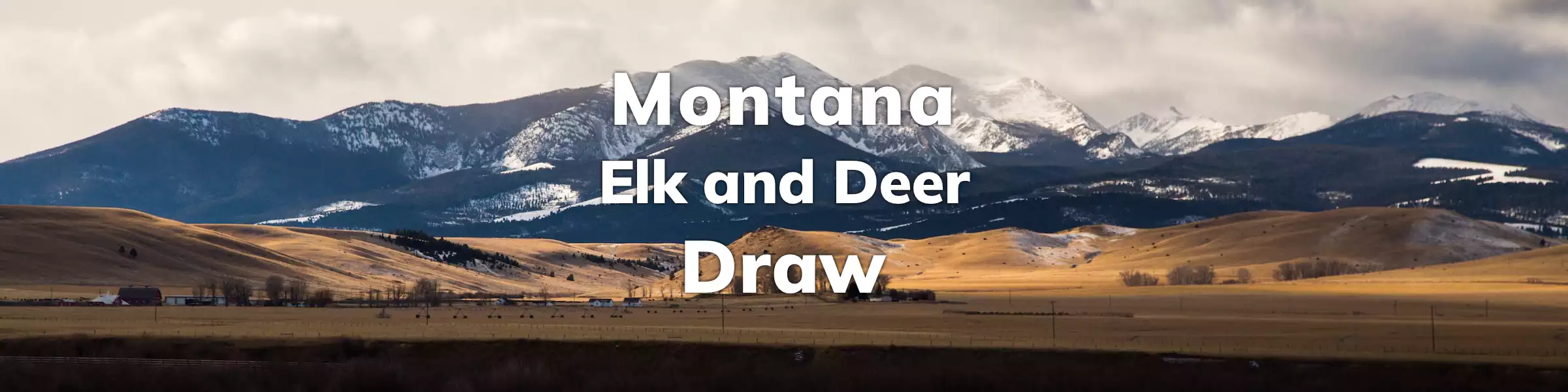 Montana Elk Deer Draw