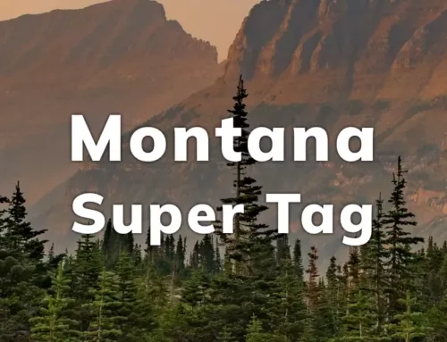Montana Super Tag Lottery 2024