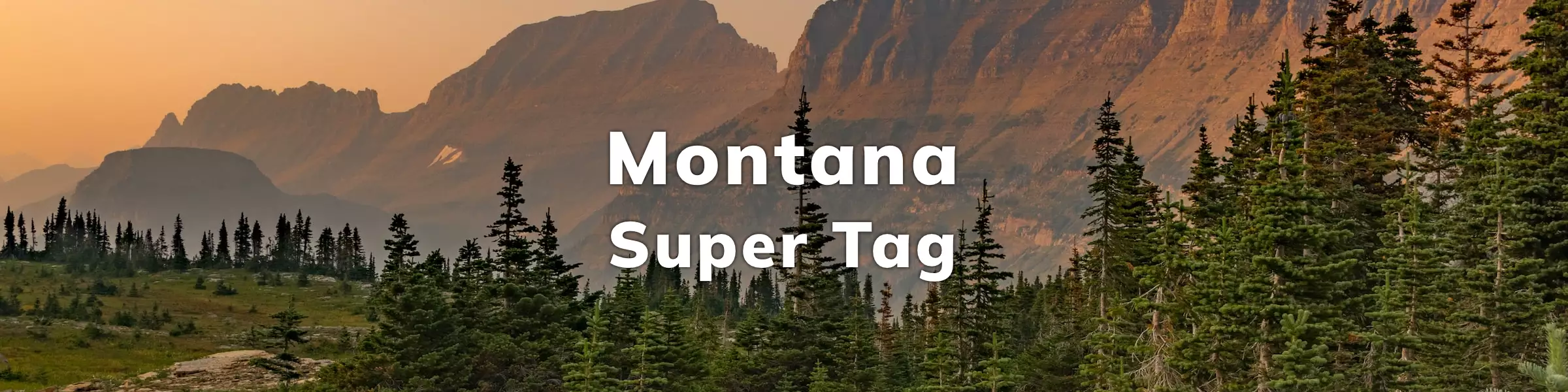 Montana Super Tag