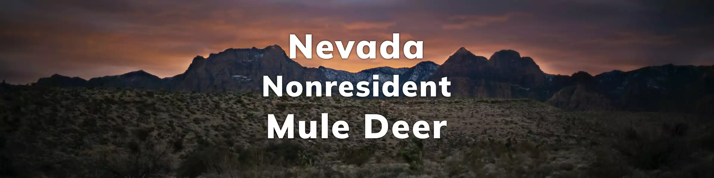 Nevada Nonresident Mule Deer