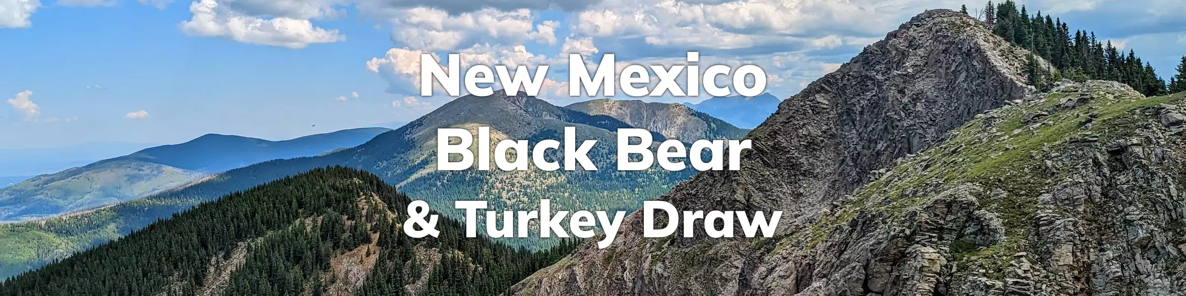 New Mexico Black Bear & Turkey Draw 2024 OnPoint Hunts