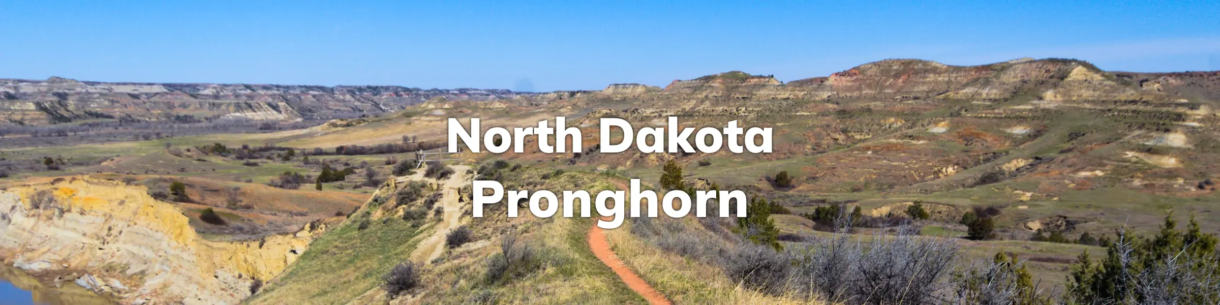 North Dakota Pronghorn Draw