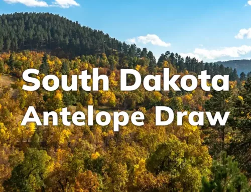 South Dakota Antelope Draws 2024