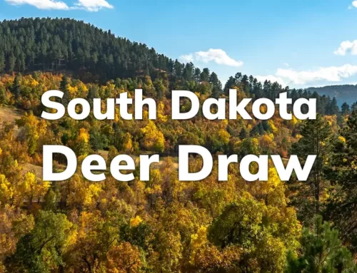 South Dakota Deer Draws 2024