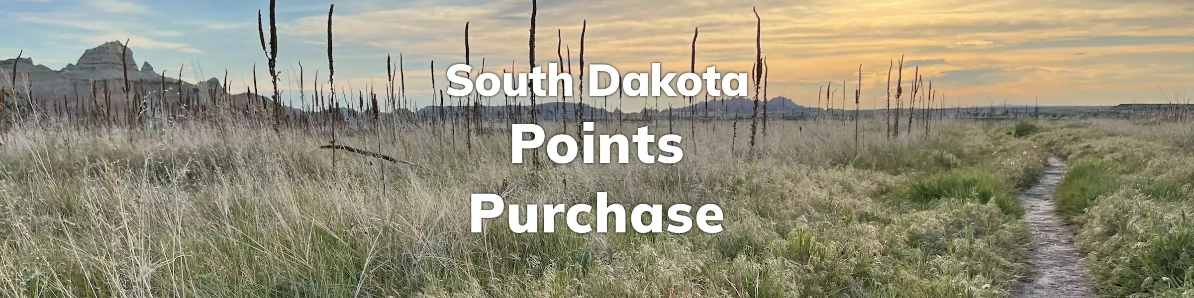 South Dakota Points Purchase