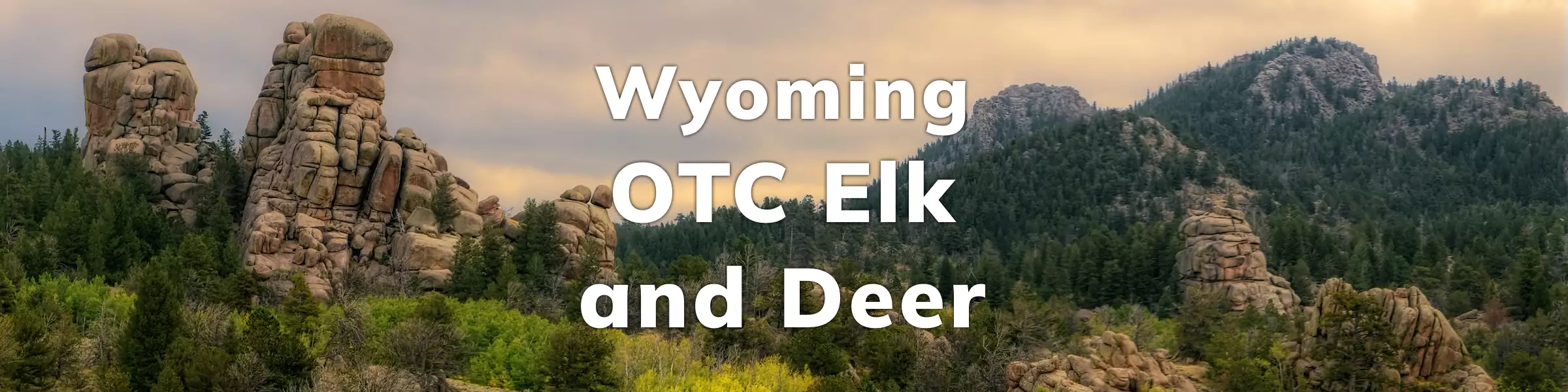 Wyoming Elk Deer OTC