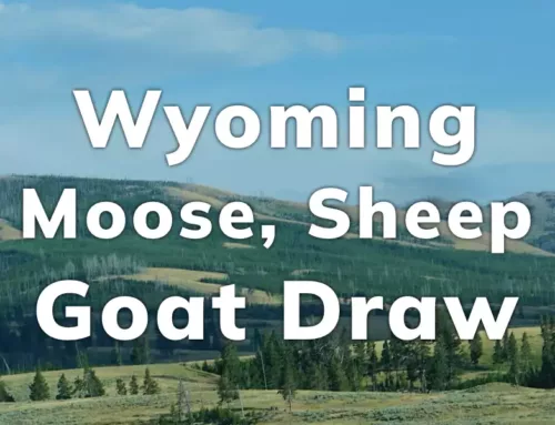 Wyoming Moose, Sheep, Goat Draw