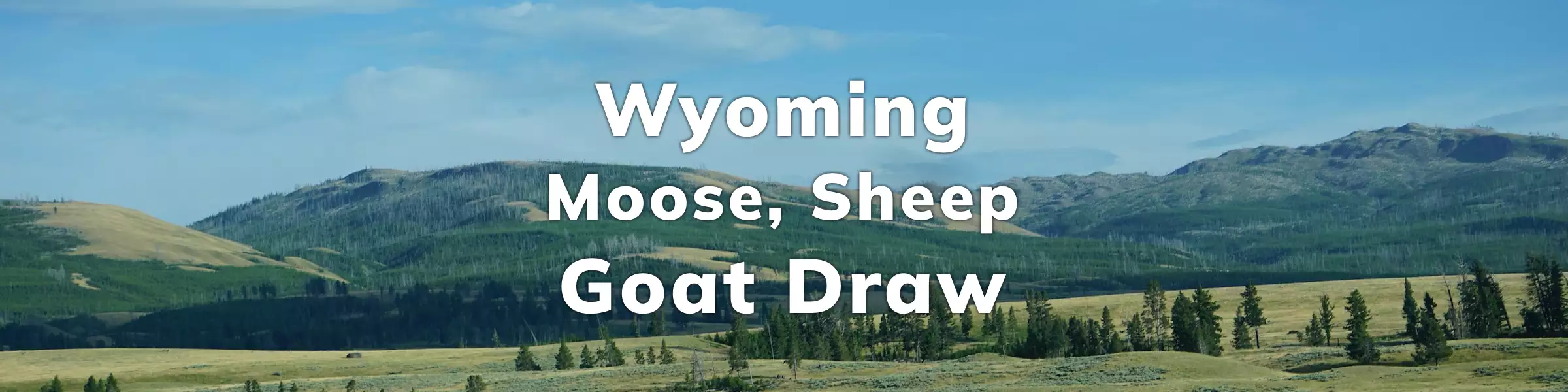 Wyoming Moose Sheep Goat Draw
