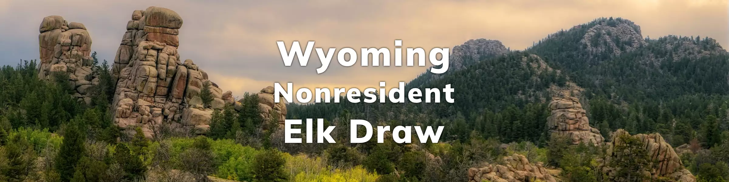 Wyoming Elk Draw