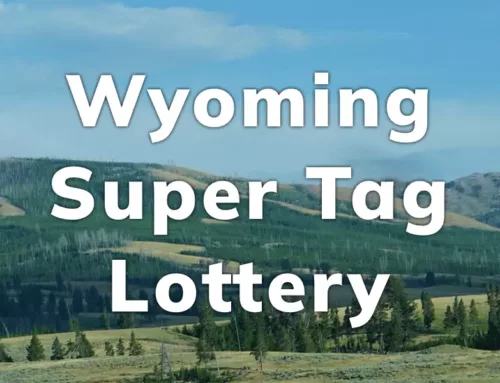 Wyoming Super Tag Lottery 2024
