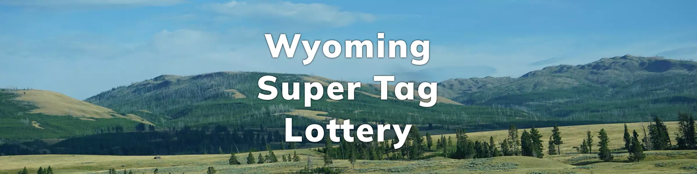 Wyoming Super Tag Lottery