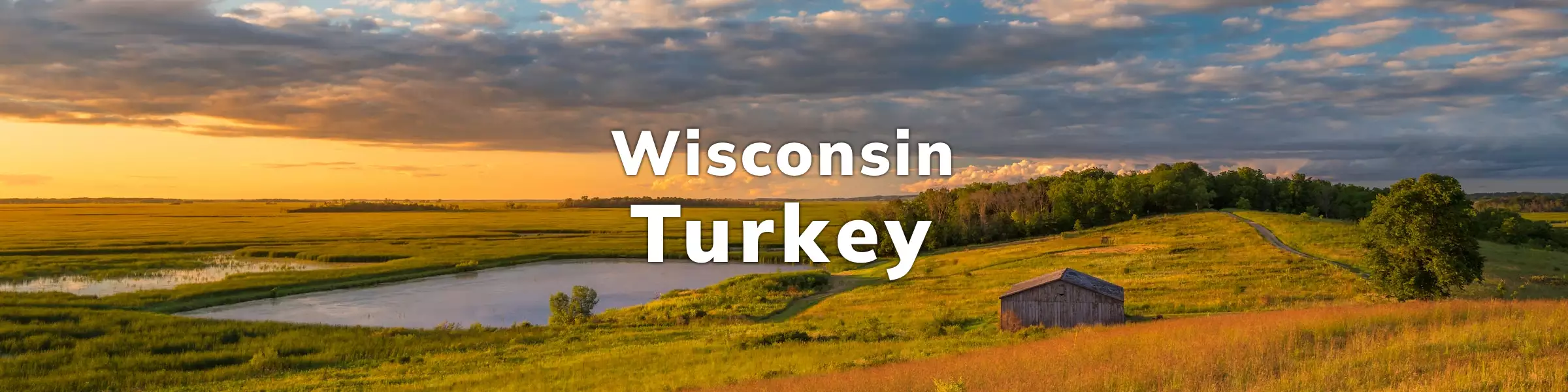 Wisconsin Spring Turkey Application Zones, Seasons, and more
