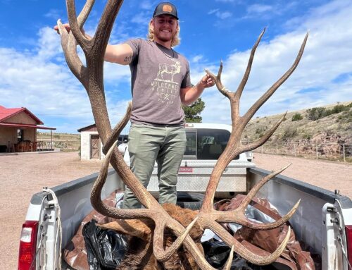 Potential New Mexico state record elk taken by archery hunter