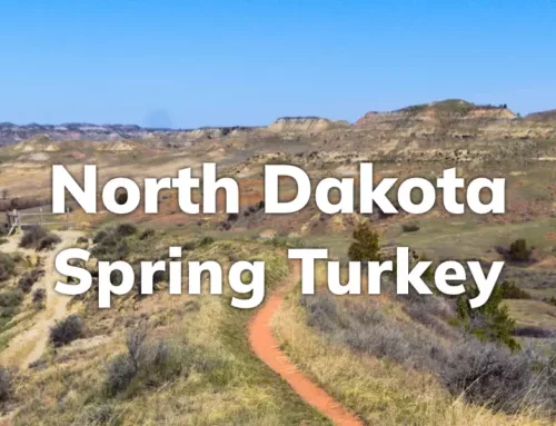 North Dakota Spring Turkey 2025