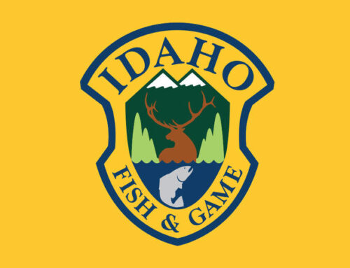 Idaho nonresident tags draw system approved for 2026